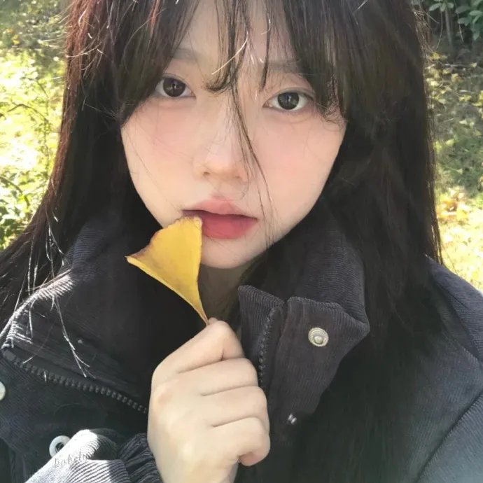 最后的成员